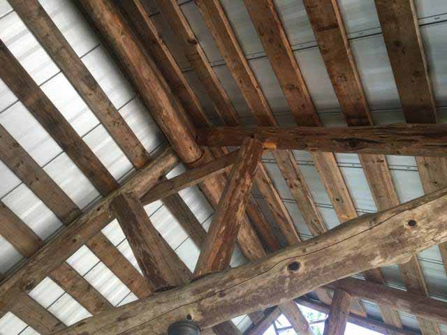images-30