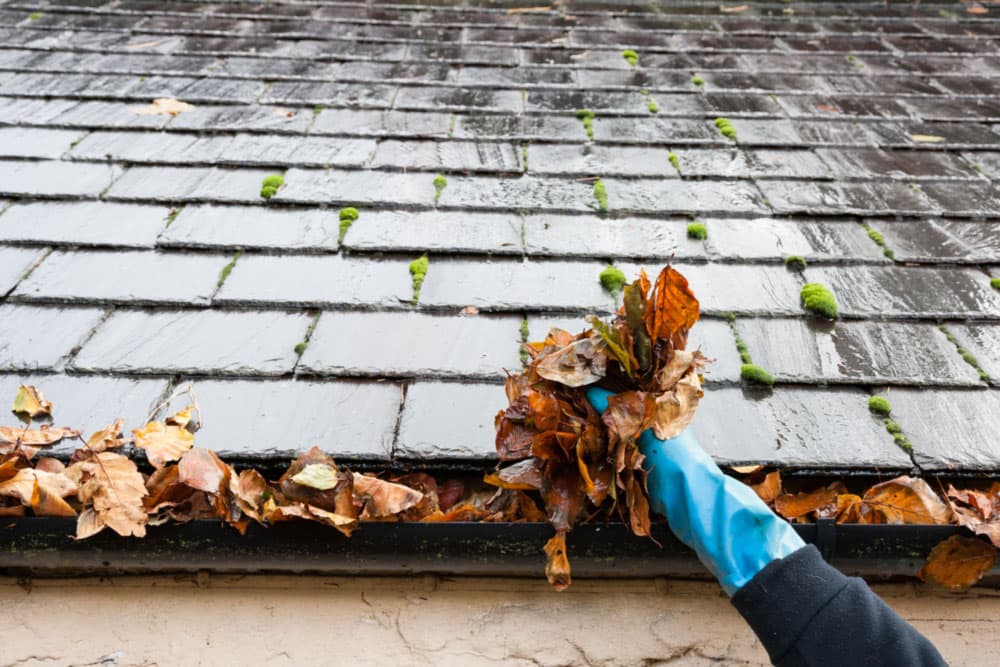Gutter Cleaning background
