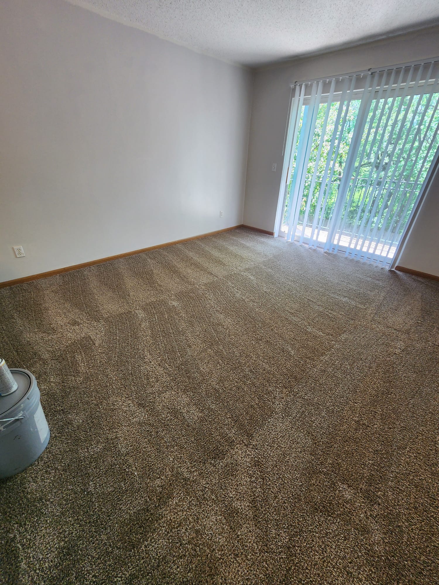 Carpet Cleaning service