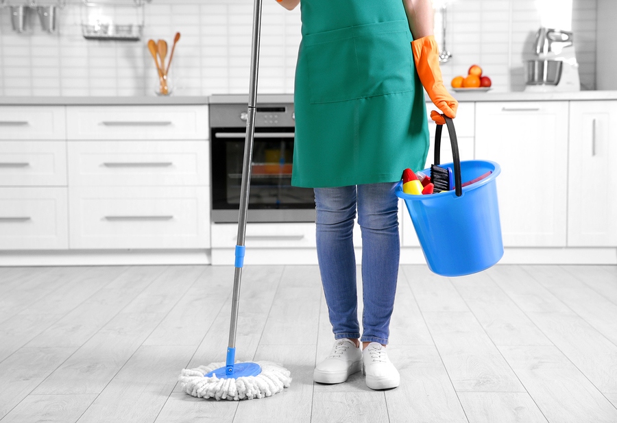 Monthly and Weekly Cleaning service