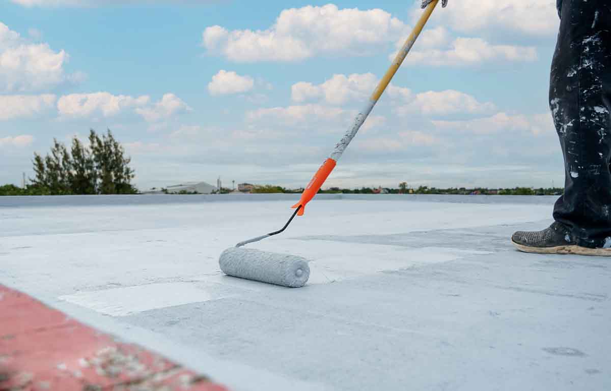 Roof Painting