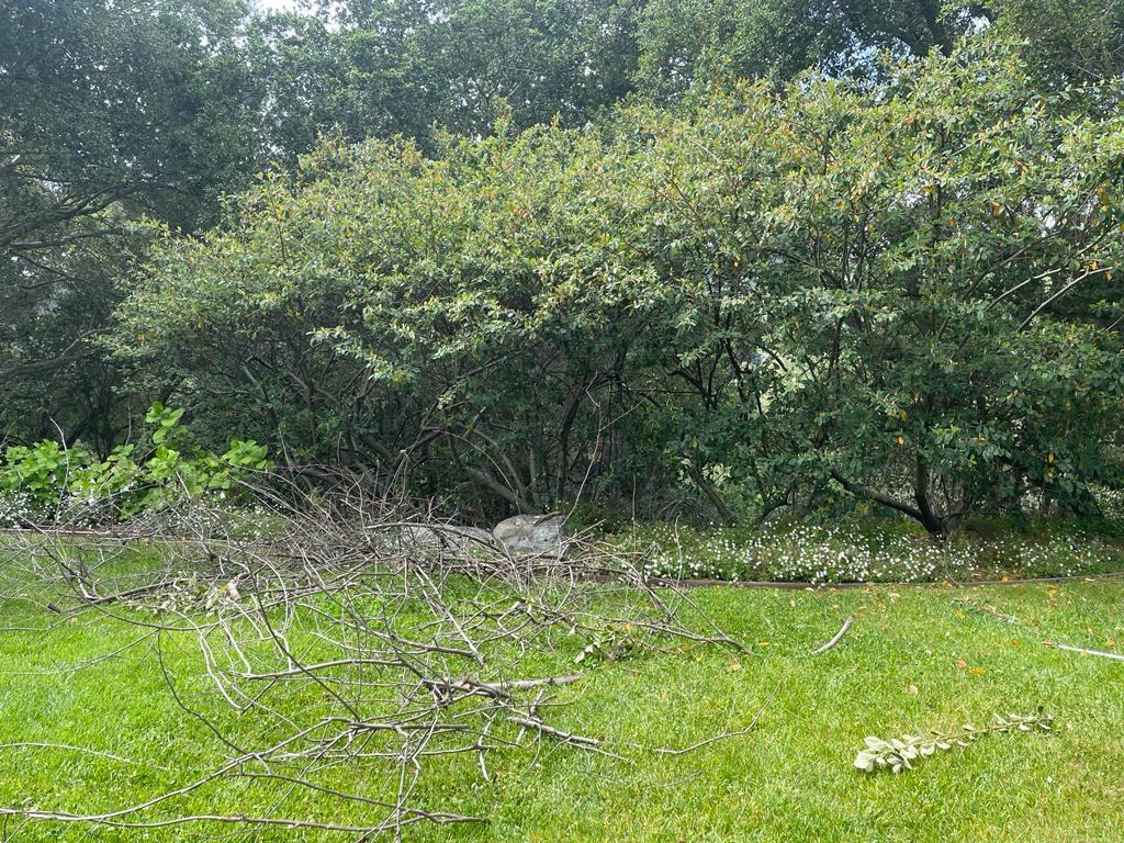 images-44