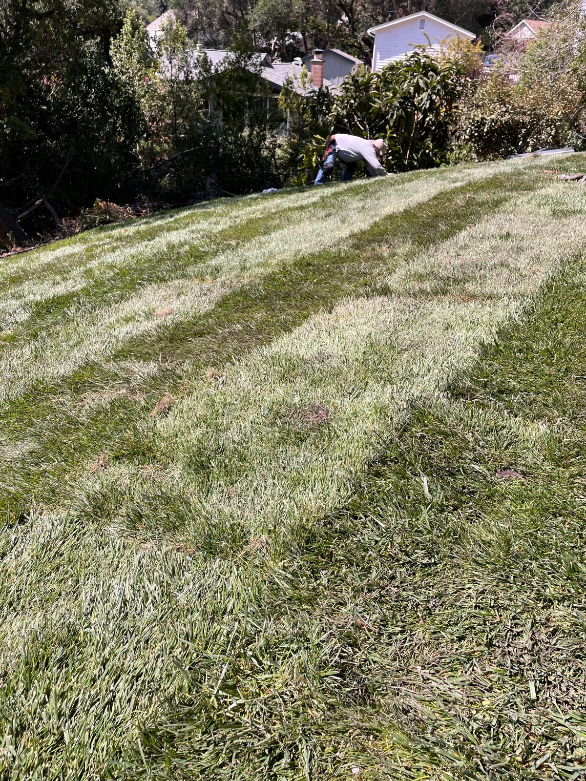 images-2