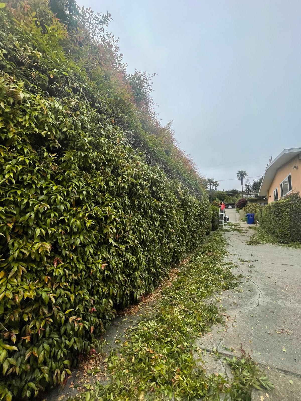 images-4