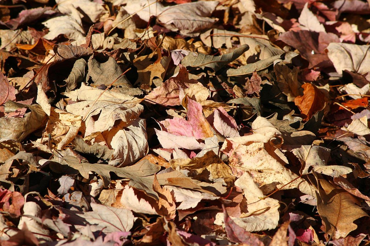 Mulching background