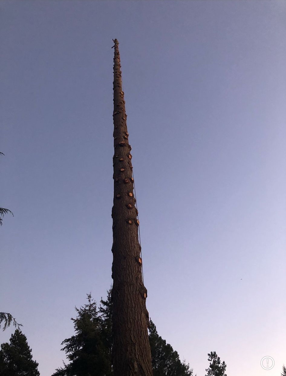 images-5