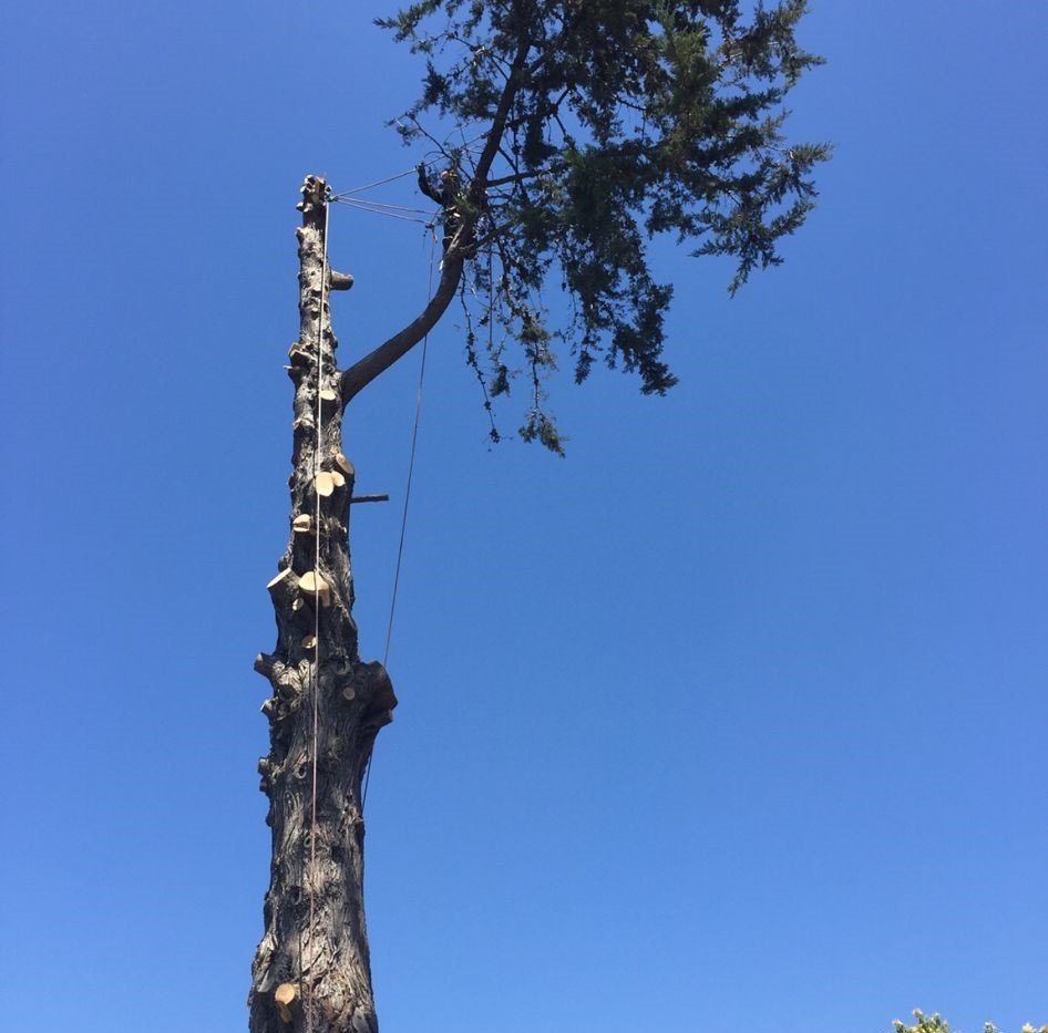images-3