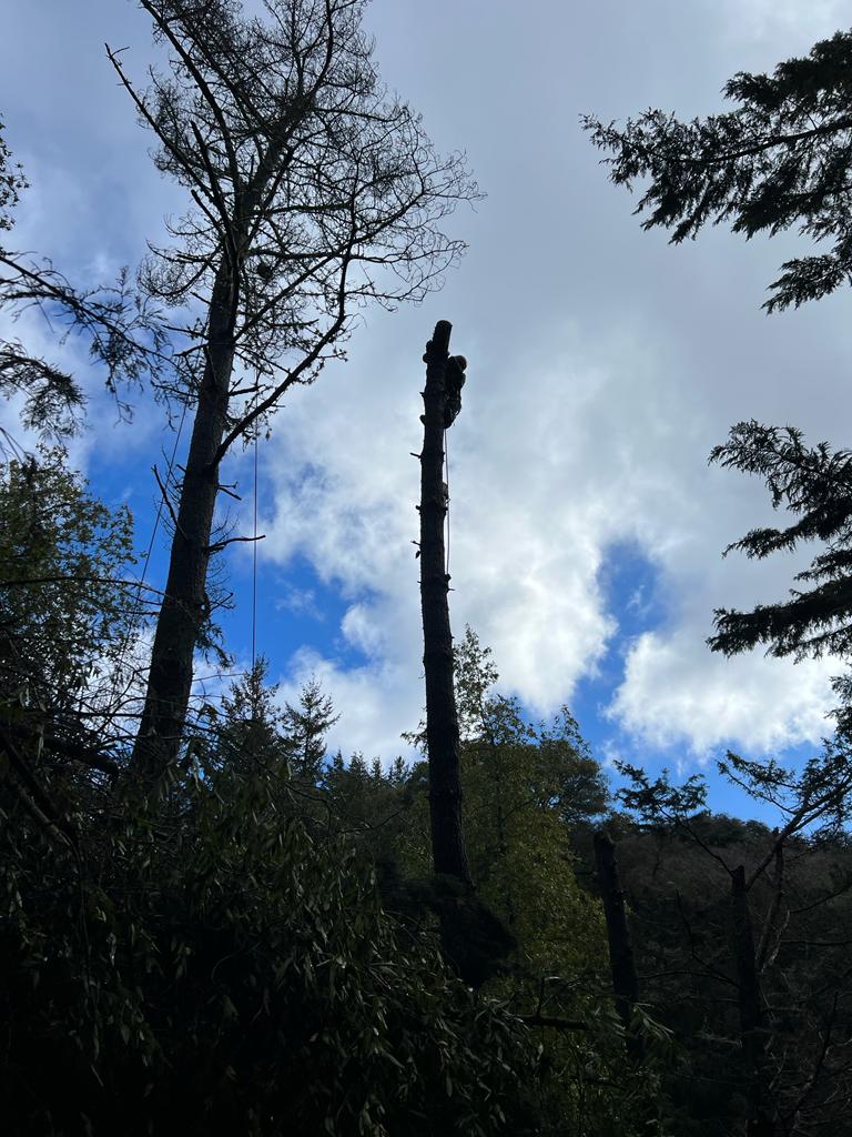 images-9
