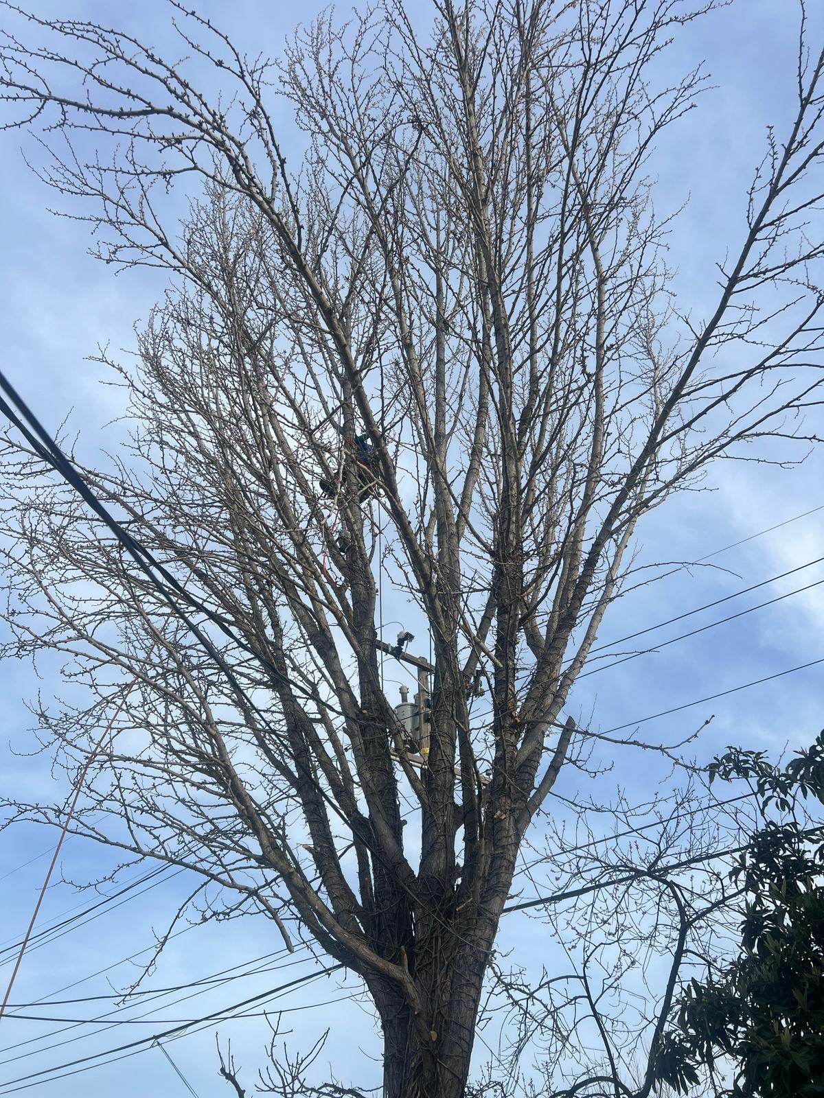 images-5