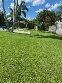 images-6