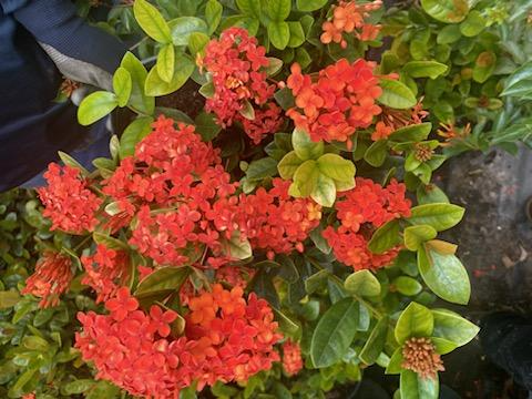 images-11