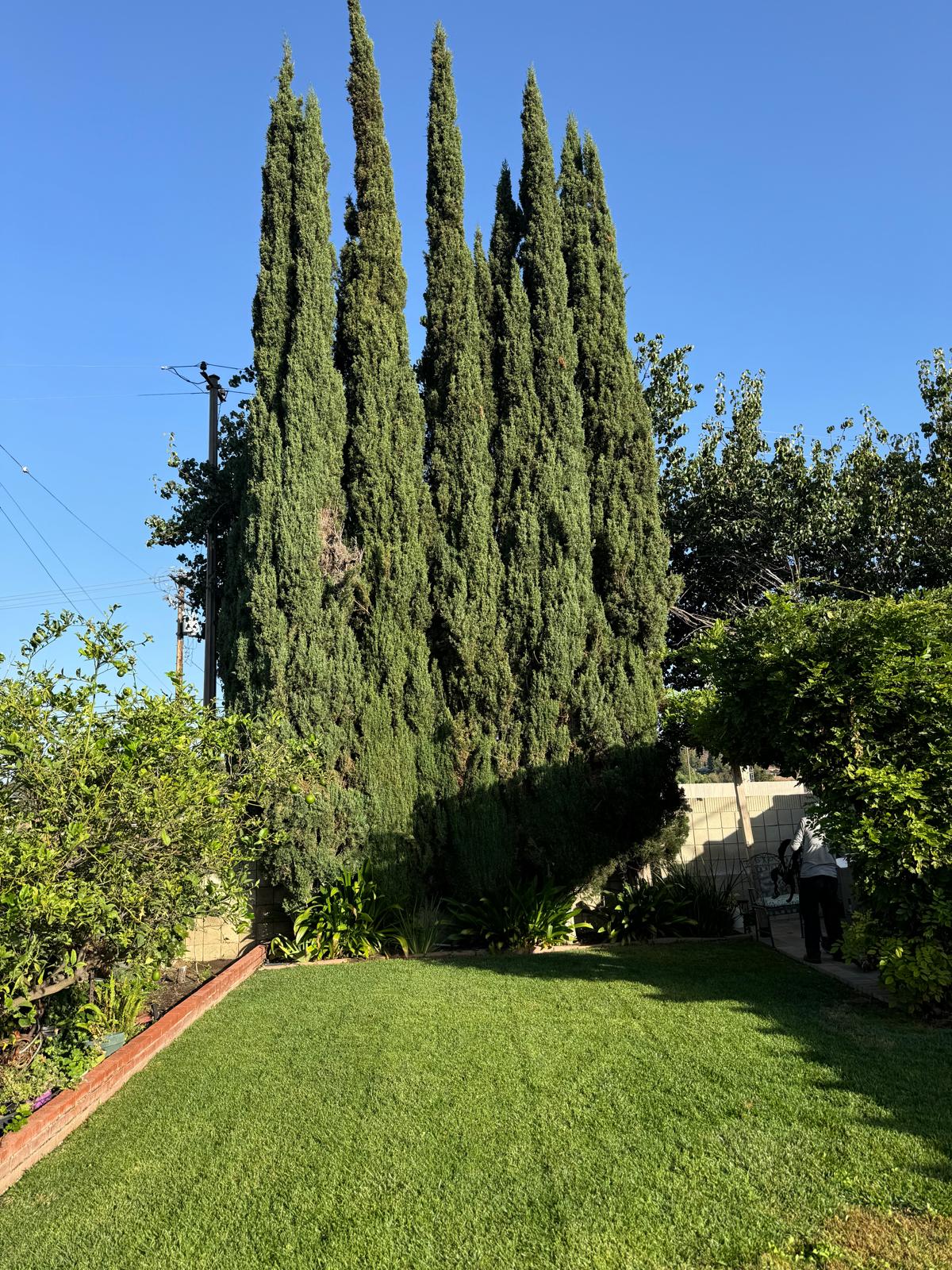 images-1