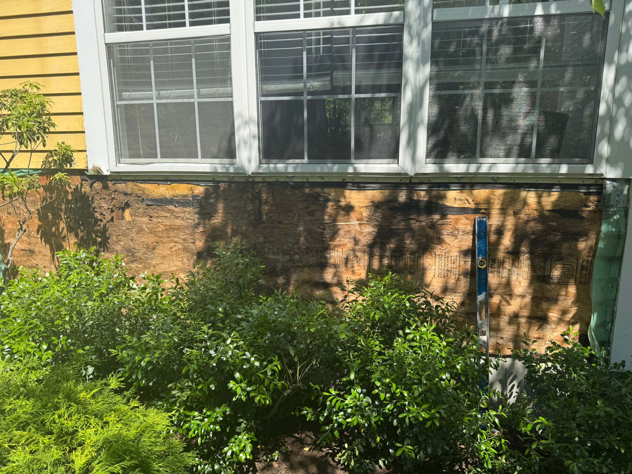 images-5