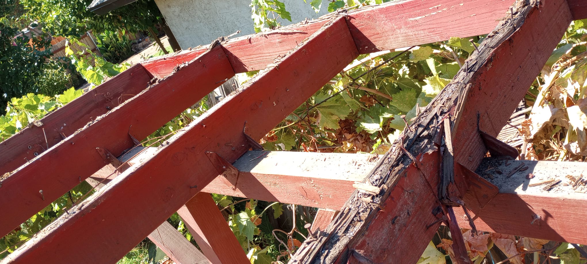 images-13