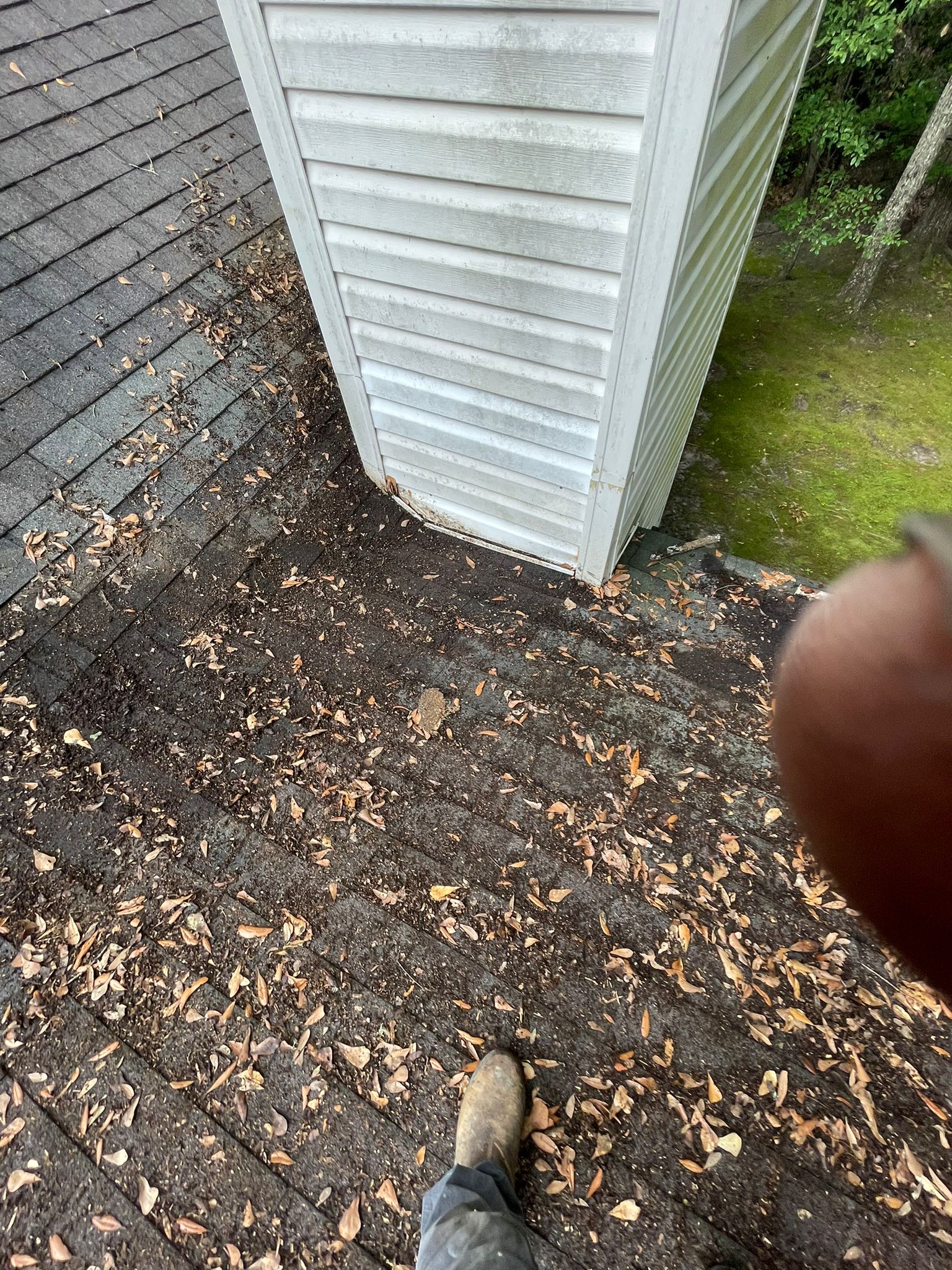 images-1