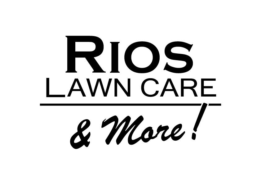 photo_logo_company