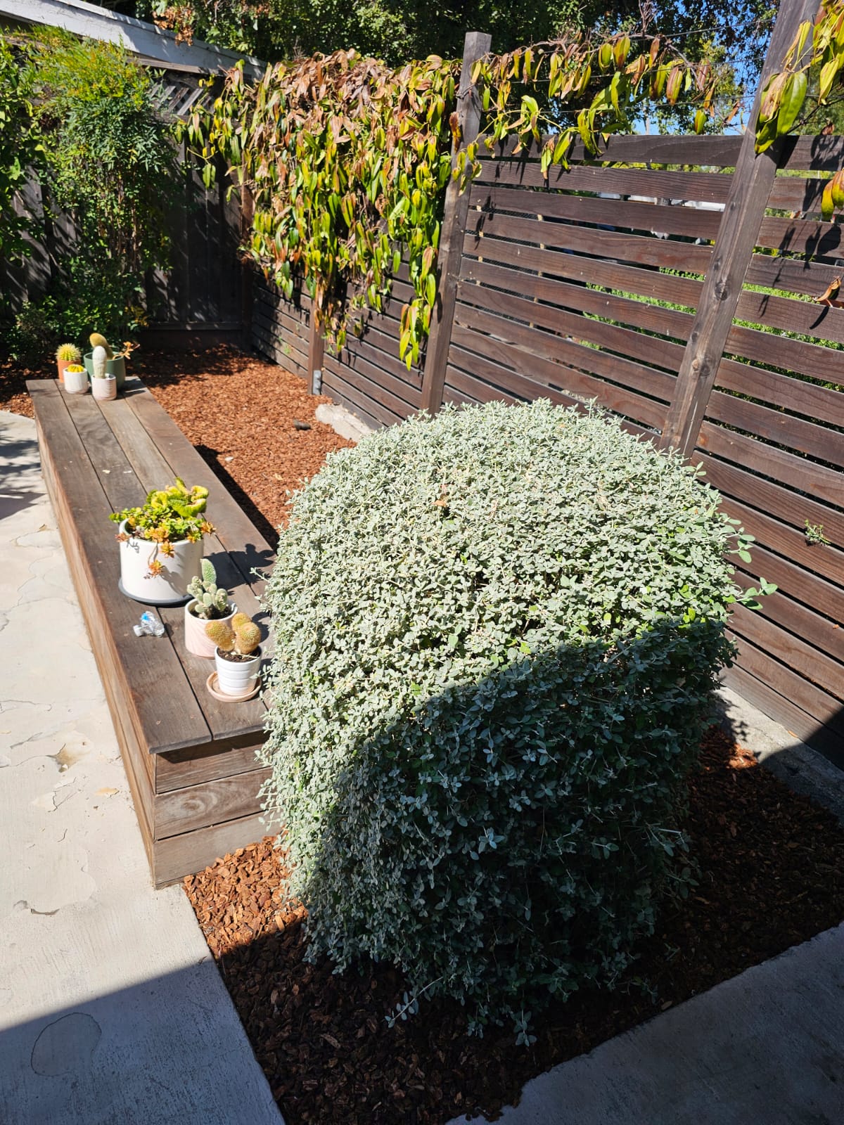 images-6