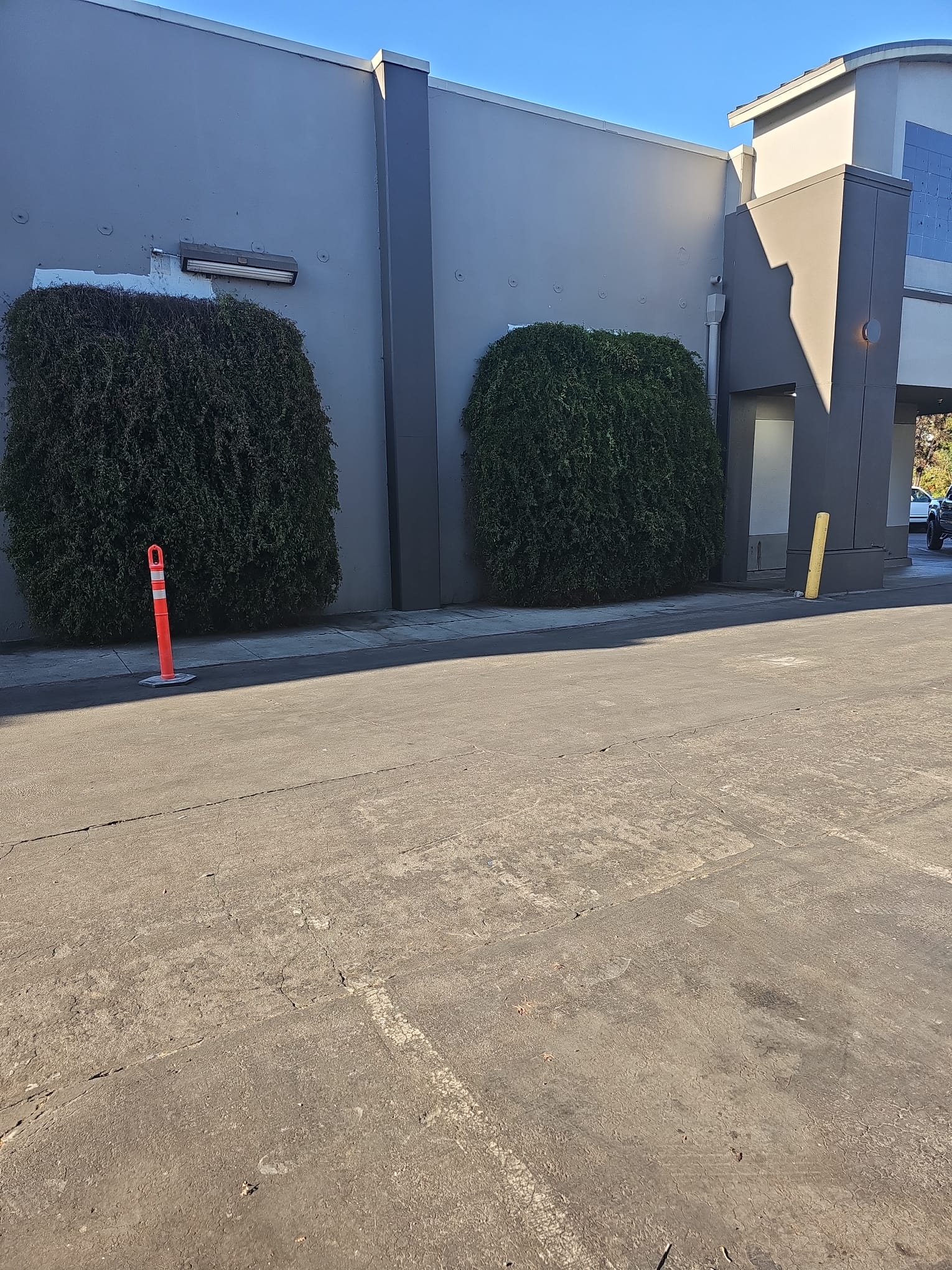 images-4
