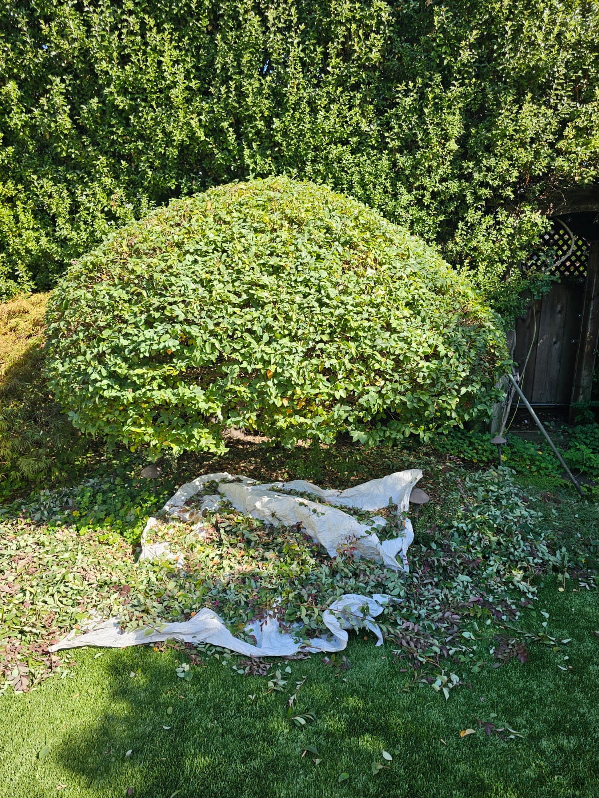images-3