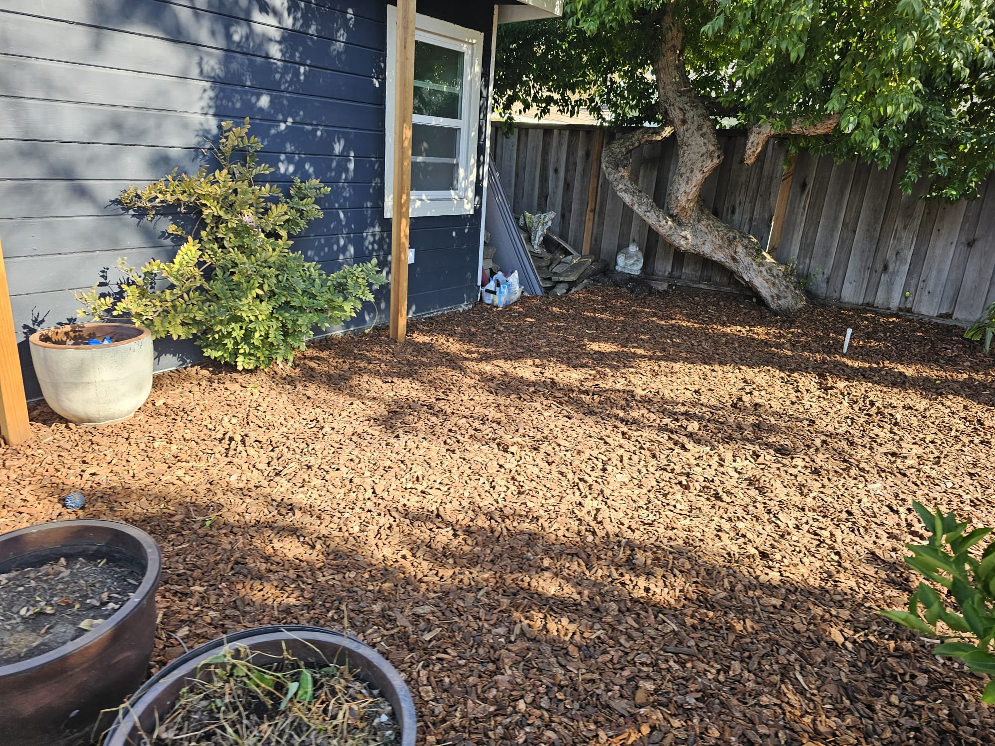 images-1