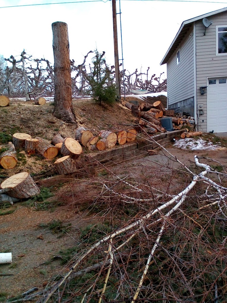 Expert care proven by years of trusted service