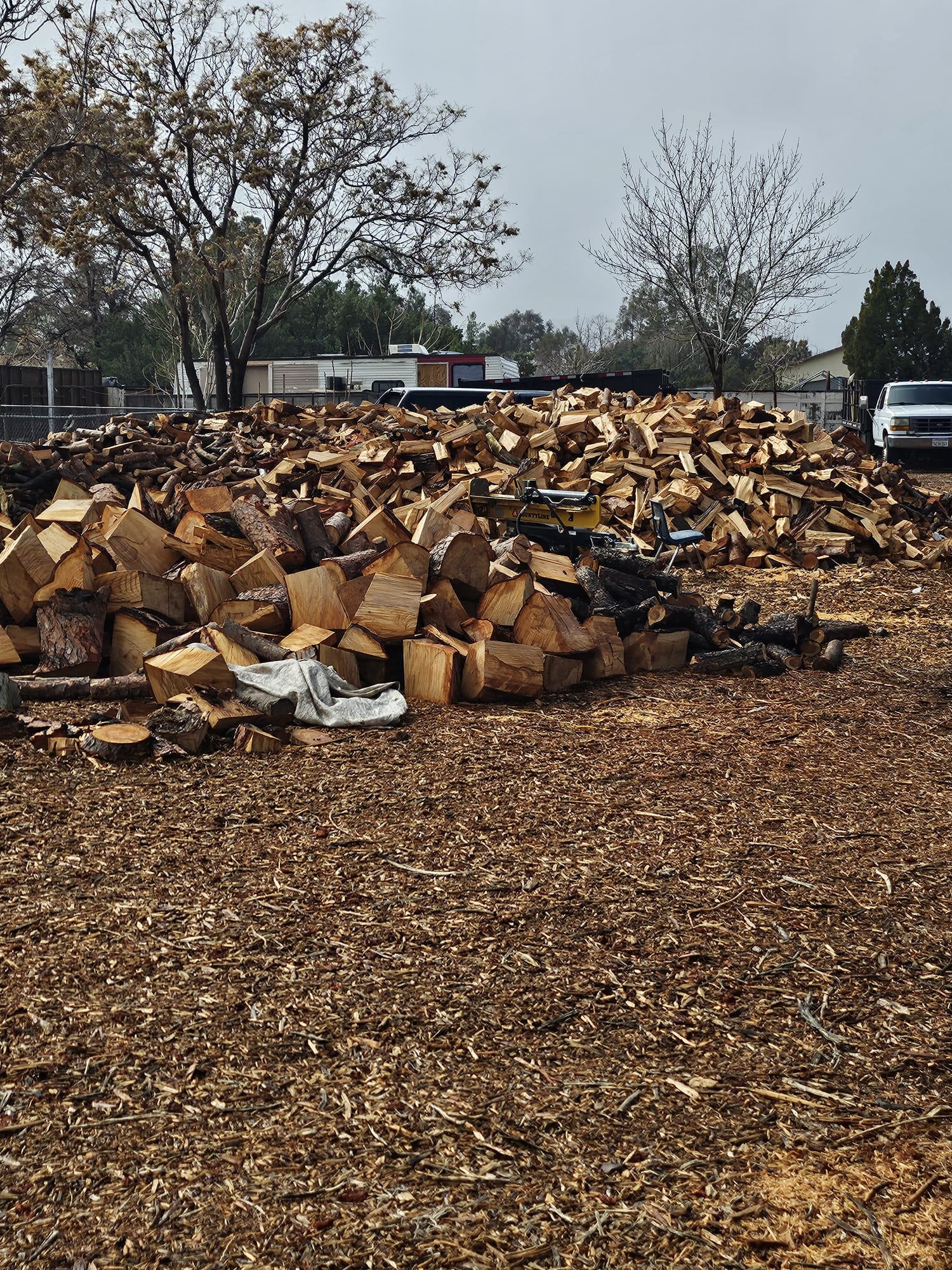 Master Of Tree Care Services INC
