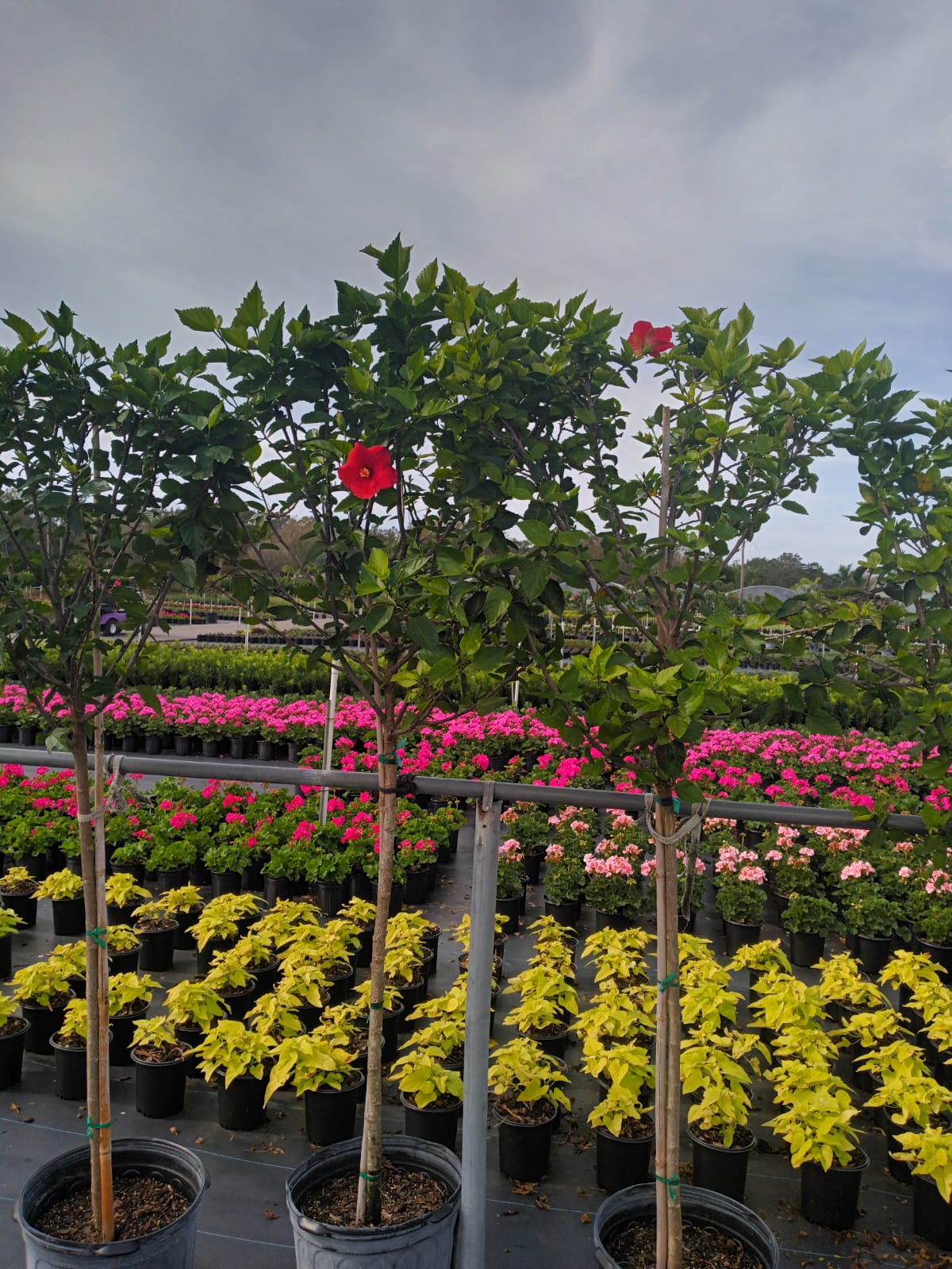 images-2