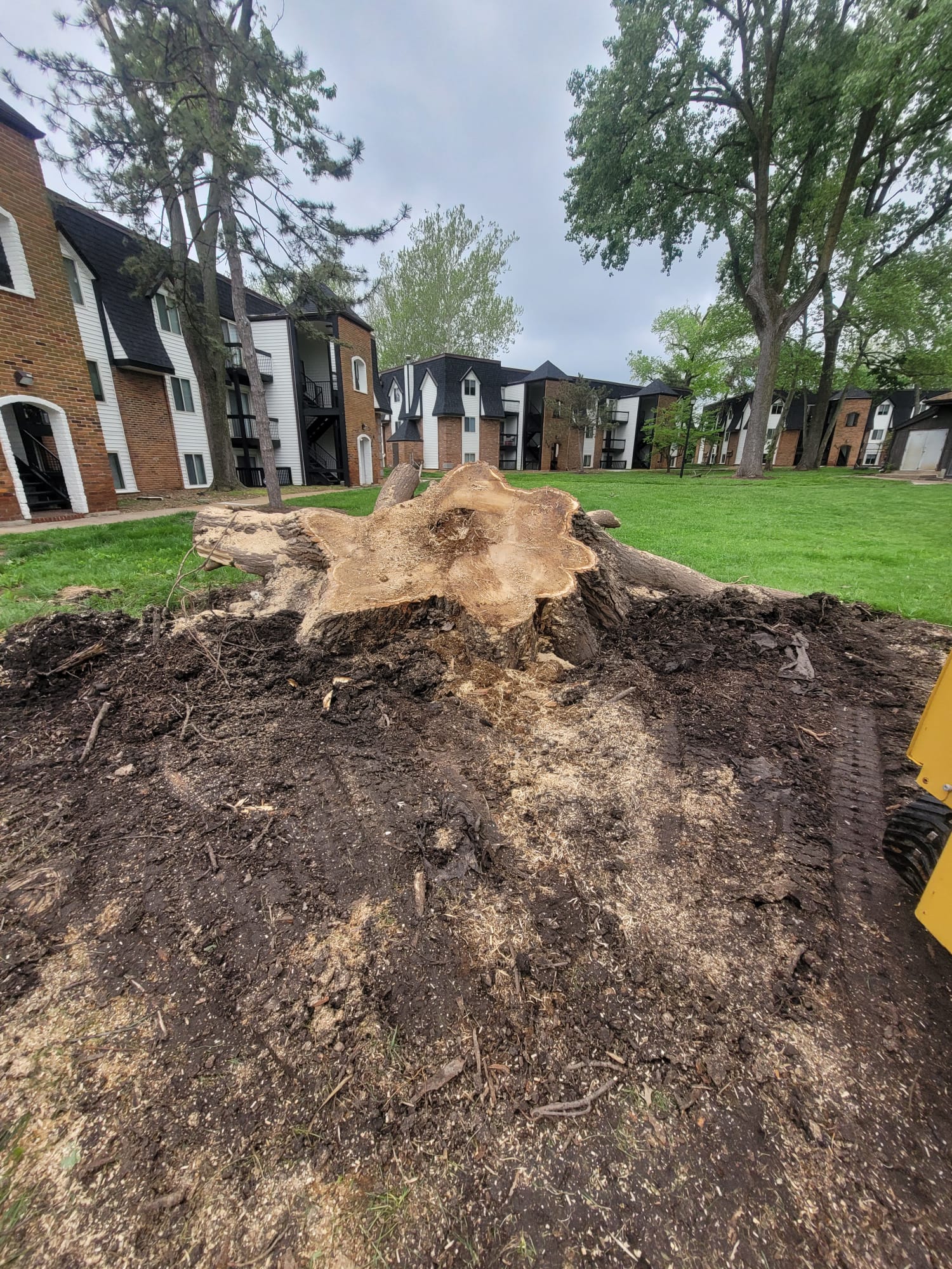 Valley Tree Services LLC work site