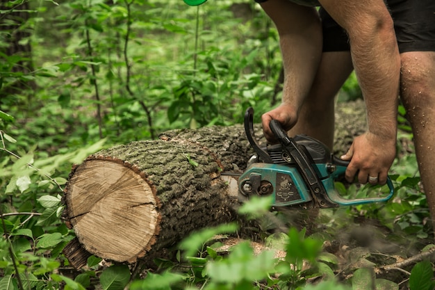 Valley Tree Services LLC gallery 3