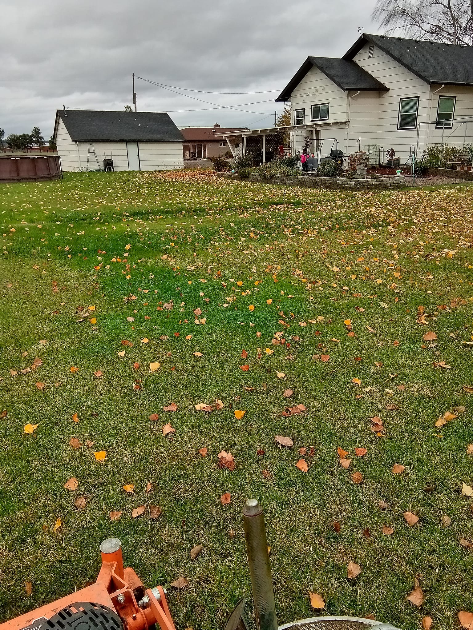 Spring Clean Up background