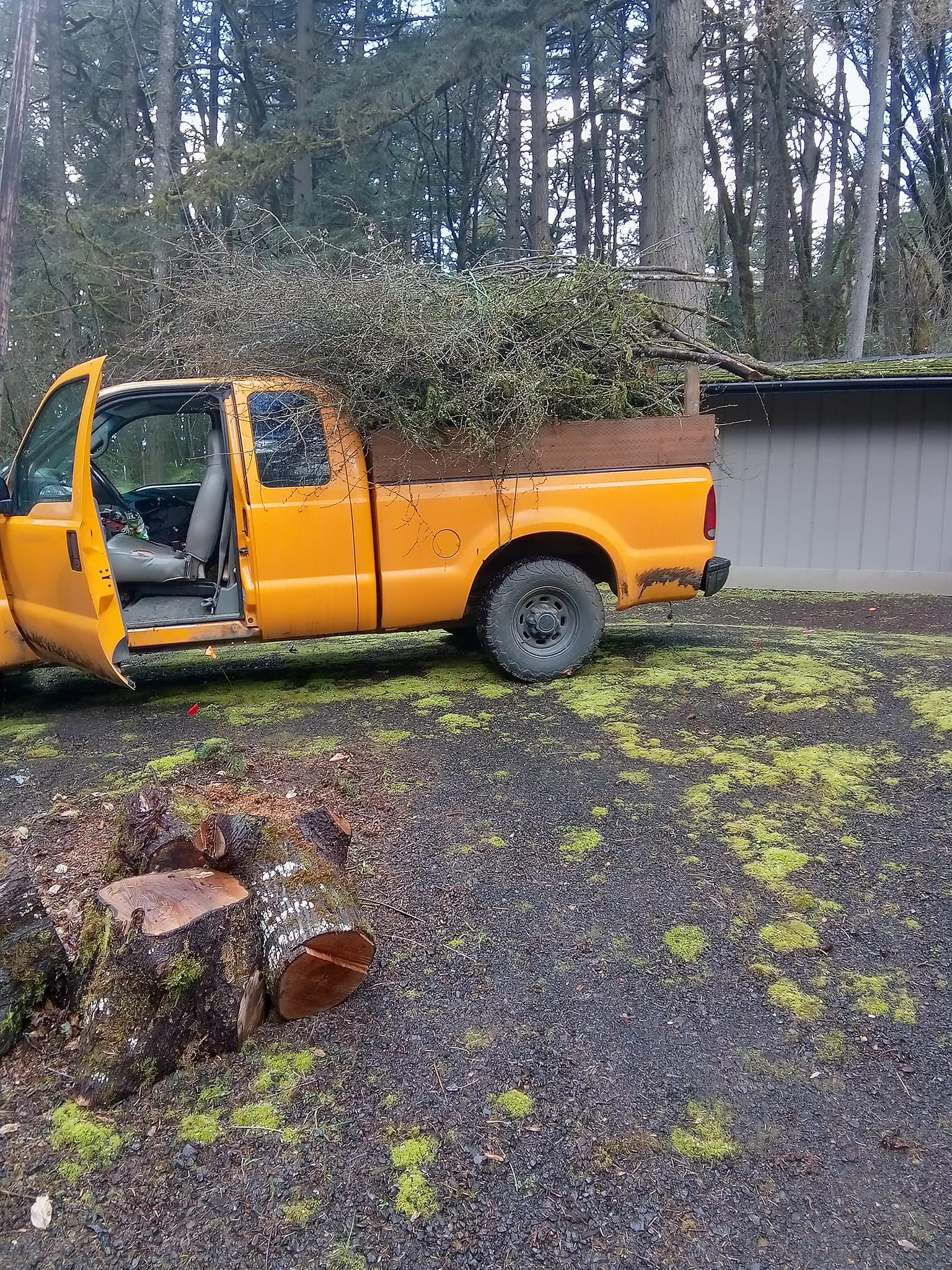 Junk Removal