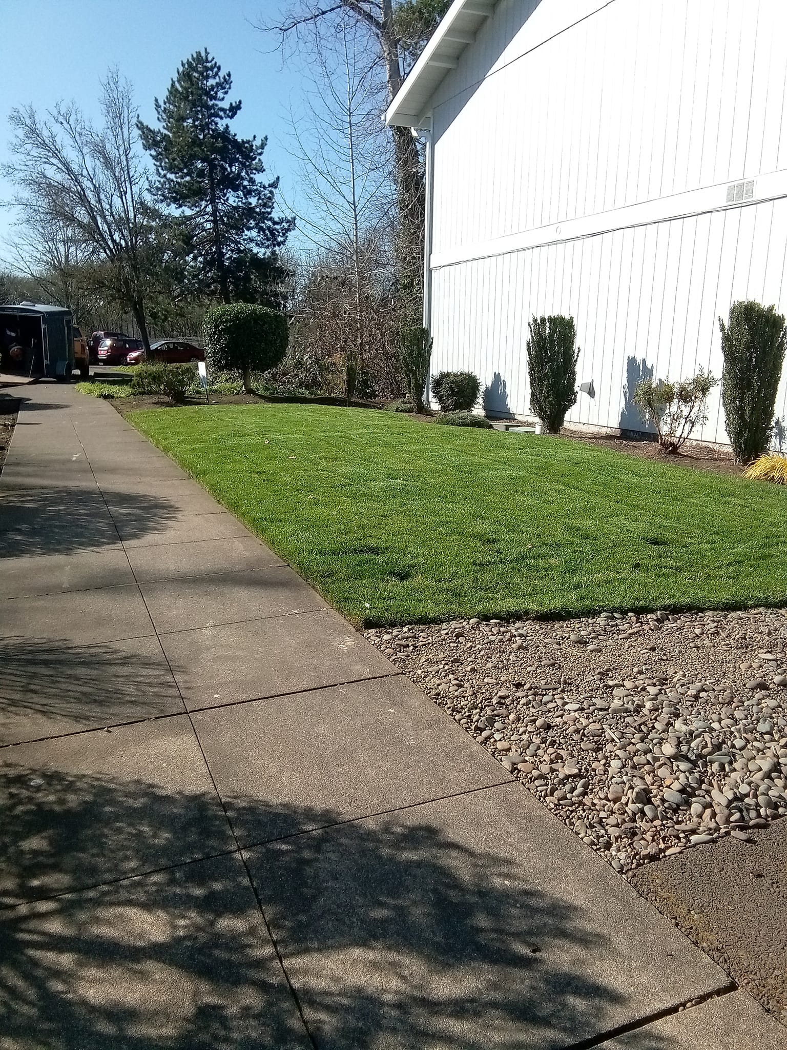 Lawn Care background