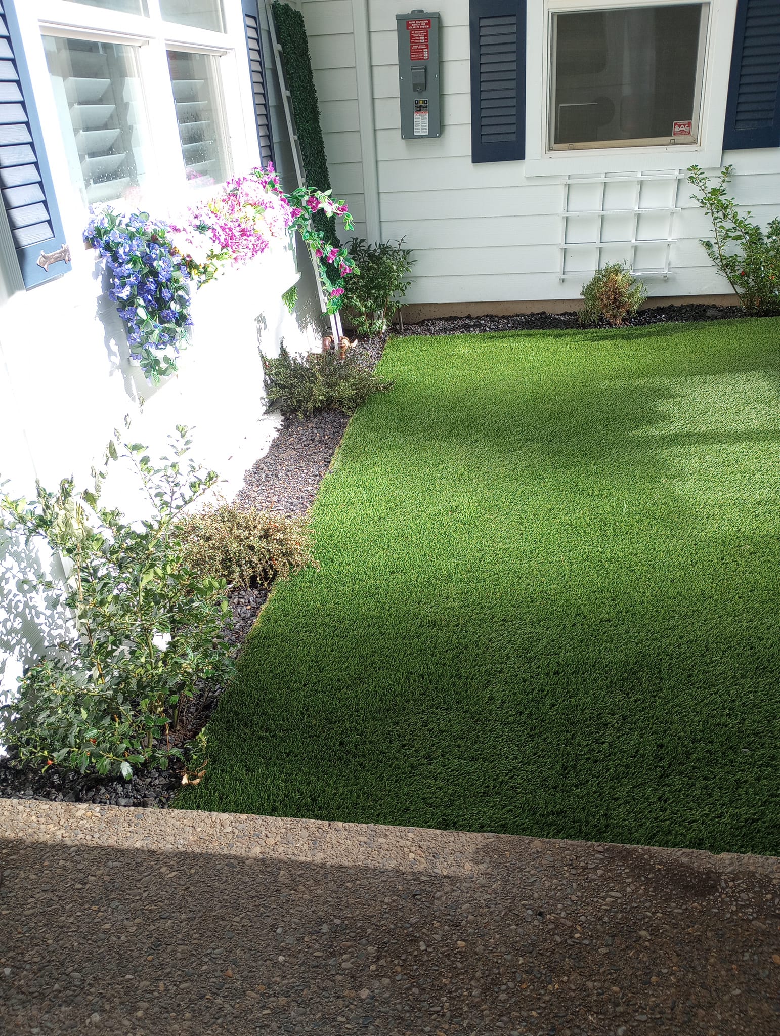 Grass