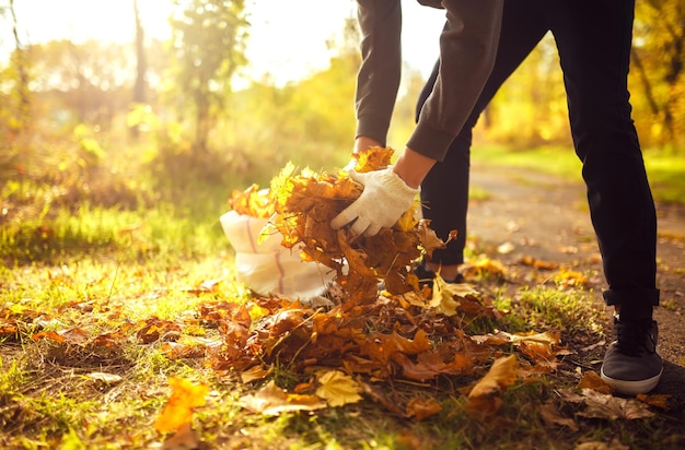Autumn Leaf Clean-Up background
