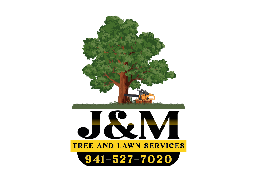 J&M Tree and Lawn Services company logo