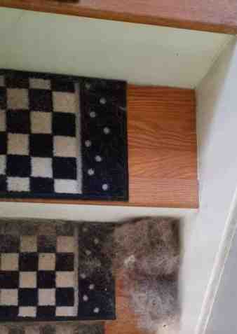 Image representative of the work performed