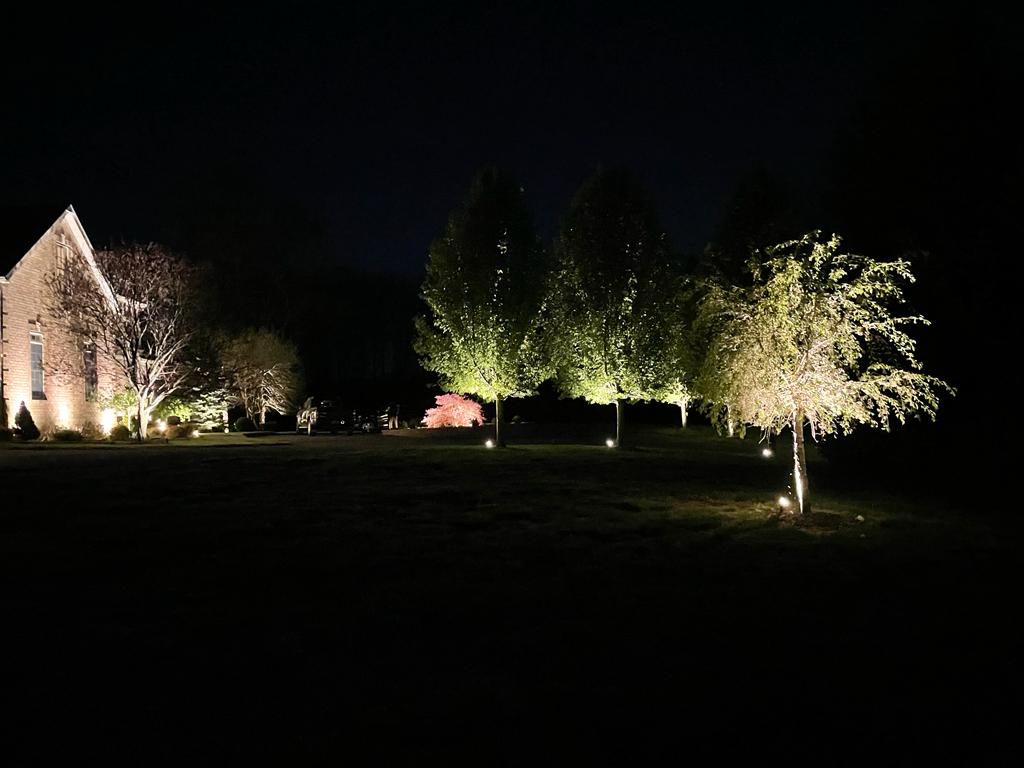 images-1