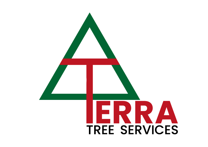 CompanyLogo