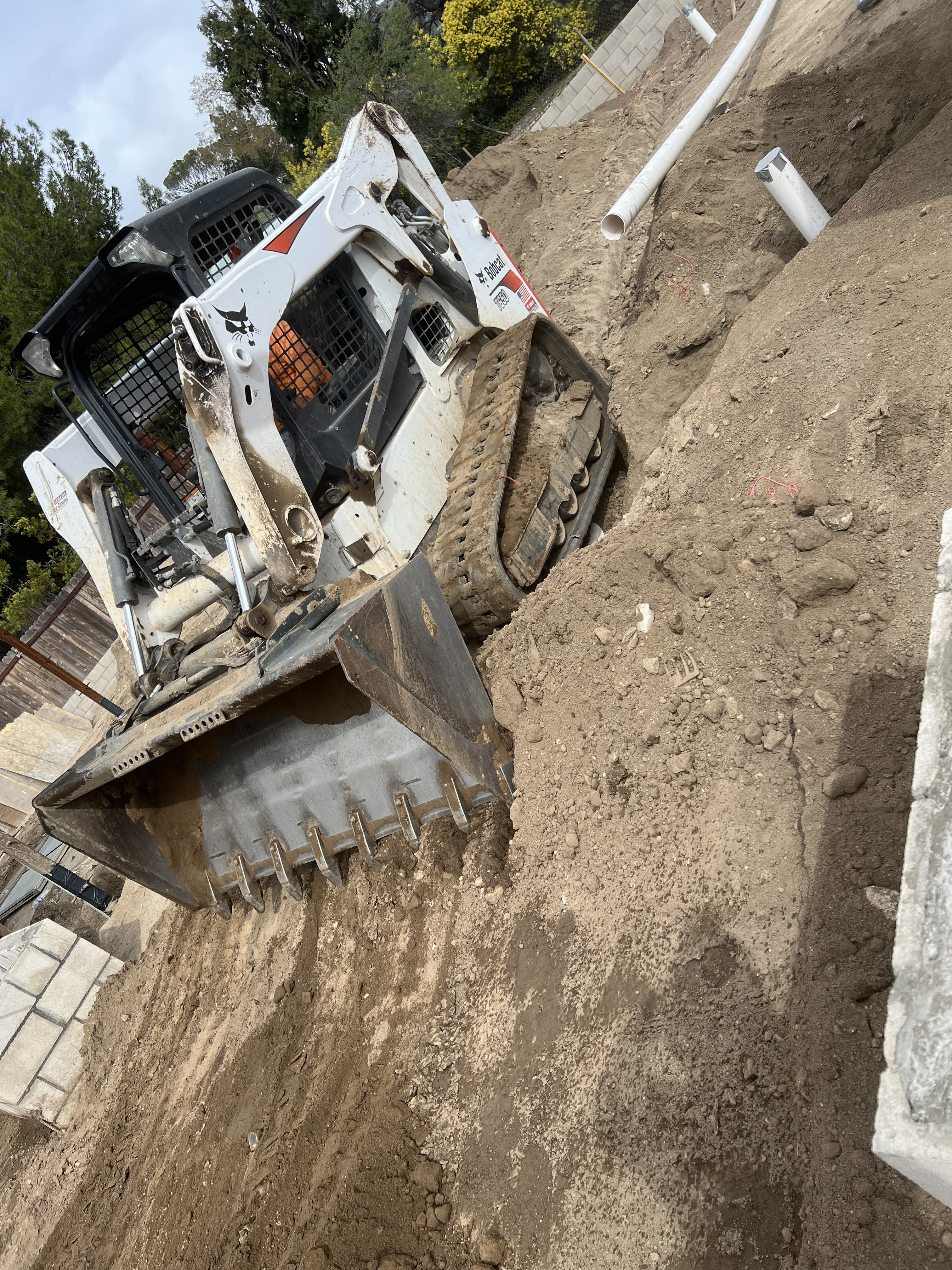 images-6
