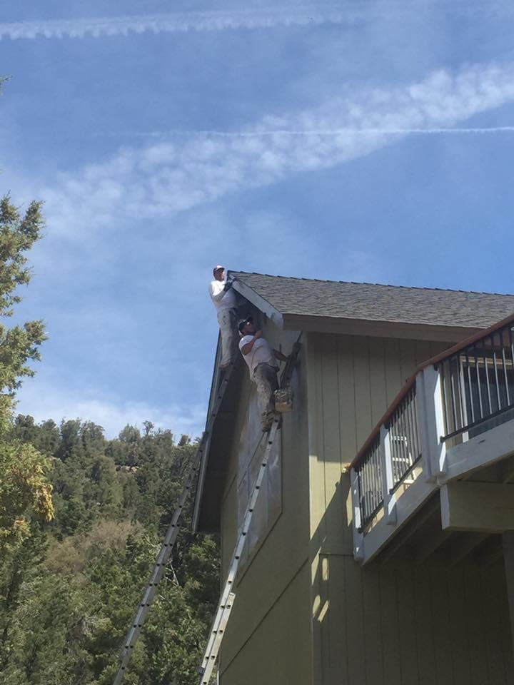 IMG1
