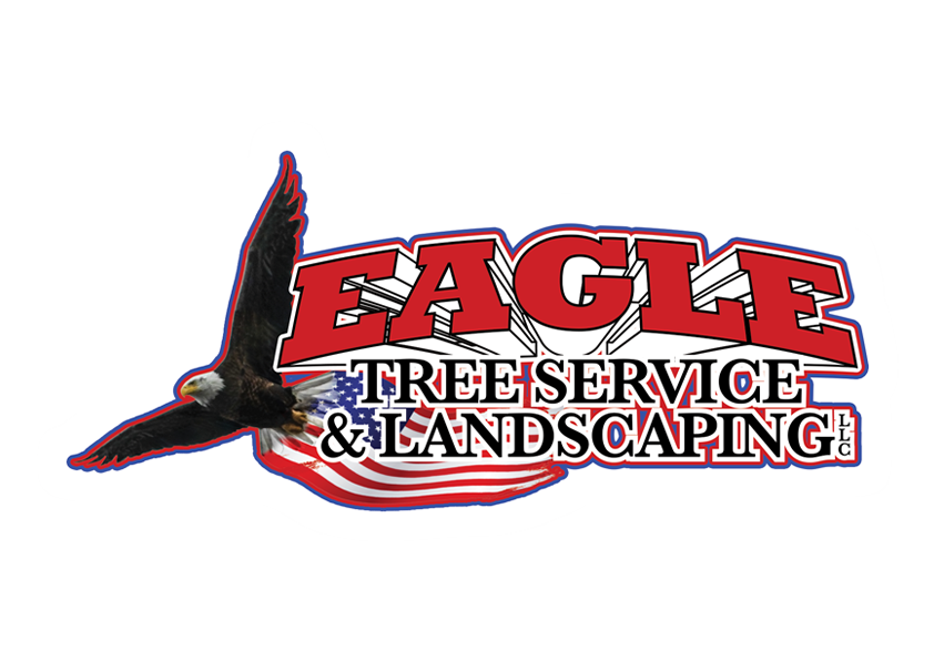 CompanyLogo
