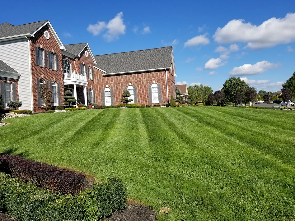 Two decades of trusted expertise for your perfect landscape