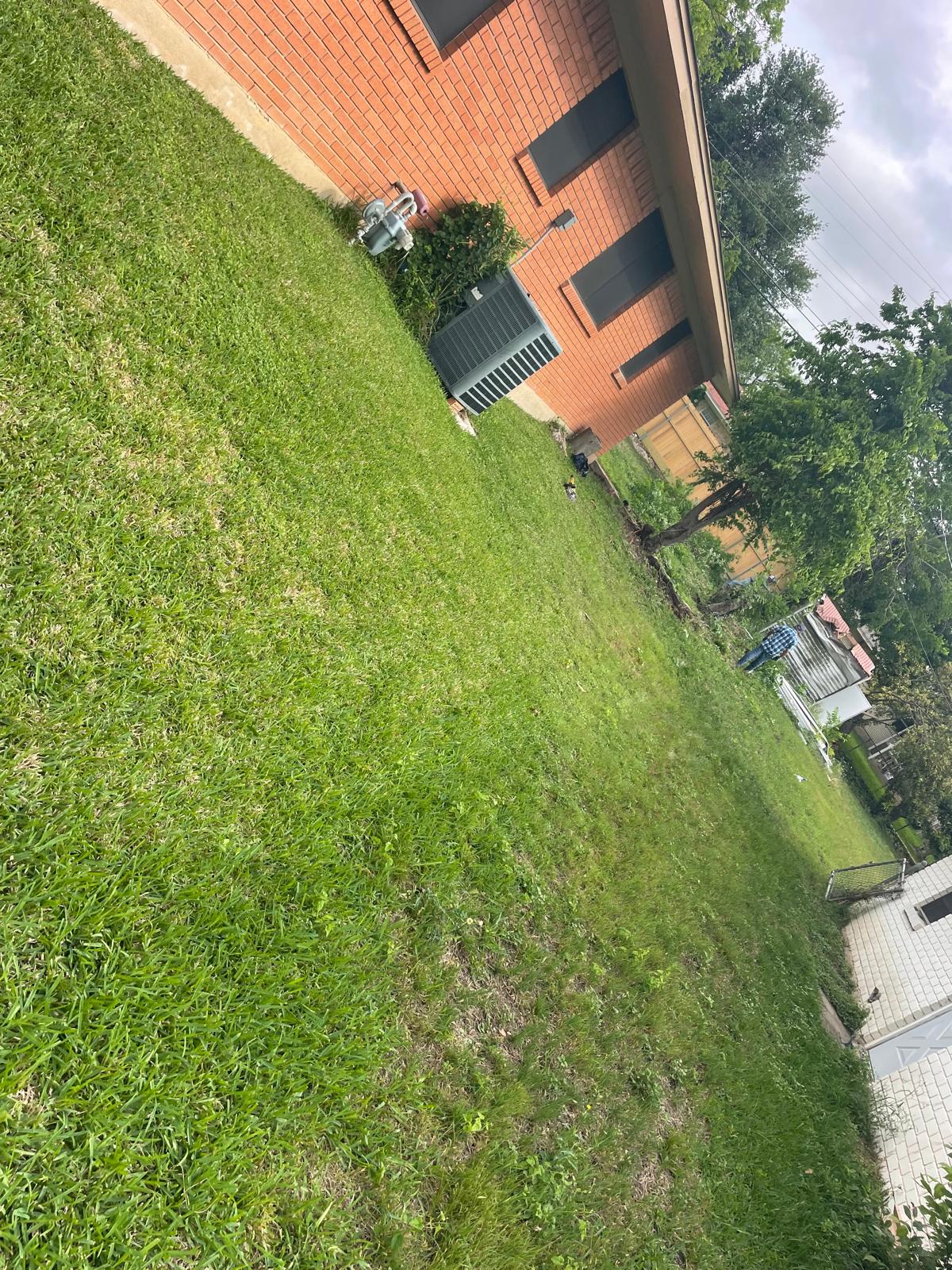 images-6