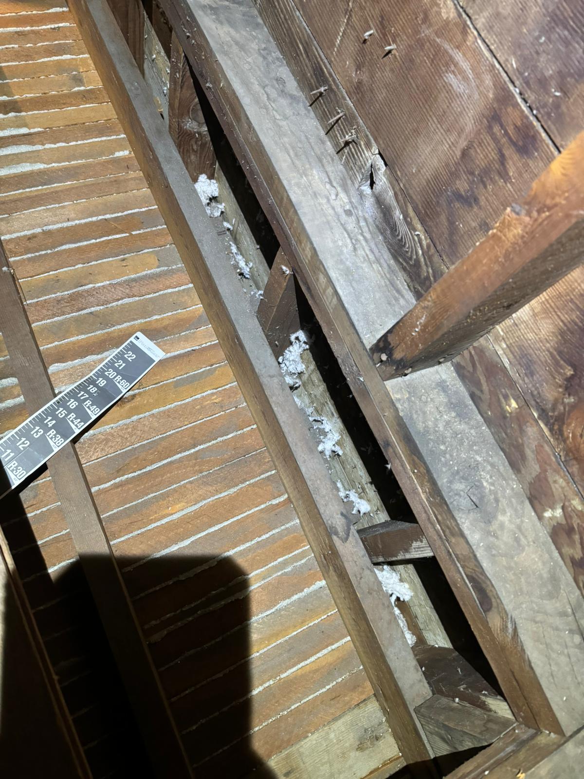 images-11