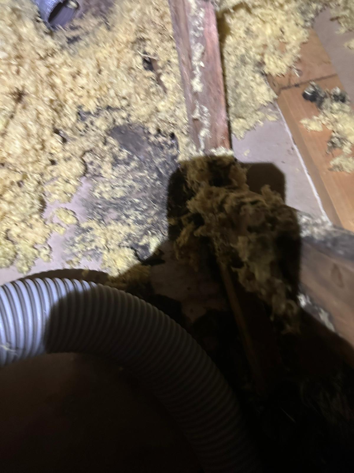 images-6