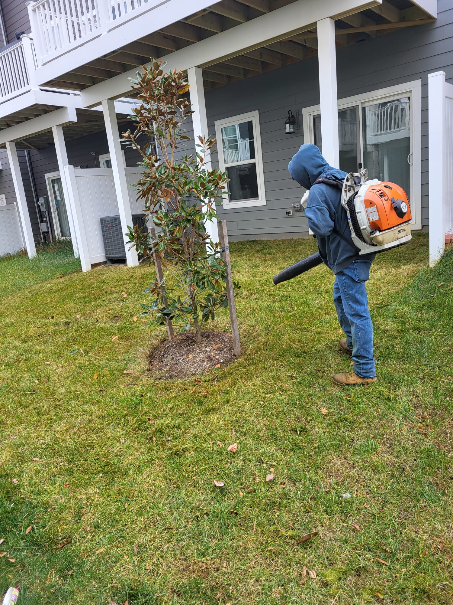 Fertilizing Services