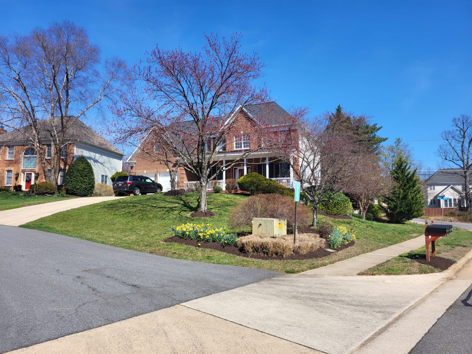 Bringing Nature's Beauty to Your Doorstep. - image 1