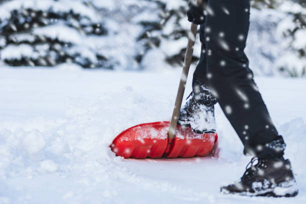 Snow Removal