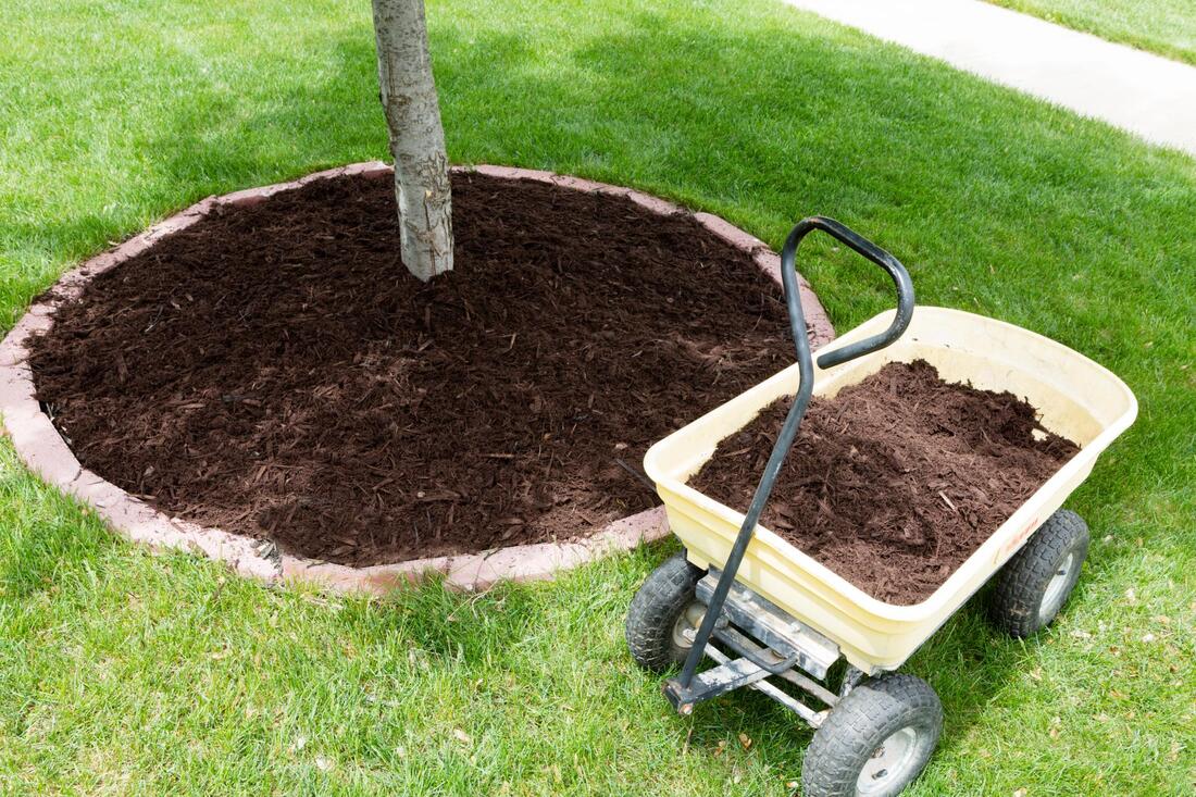 Mulching Services