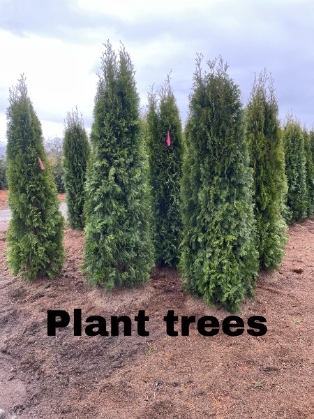 Crafting Green Spaces, Crafting Memories.